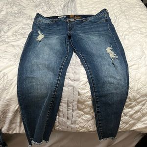 Kut from the Kloth size 16